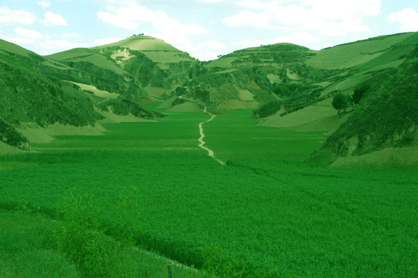 天然聚湫黄土洼