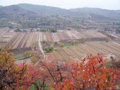 宁夏隆德县温堡水土保持生态建设示范区