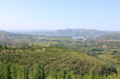 山东临沂沂水双崮流域水保林