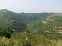 夷陵区页岩强侵蚀区快速恢复植被治理现场——十字沟小流域