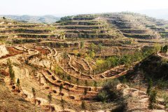 陕西省千阳县农业综合开发水保建设项目区