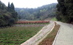 湖北三道河水库溢洪道左岸弃渣场