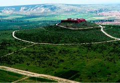 山西大同县京津风沙源水保造林工程