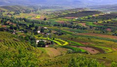 宁夏彭阳县南山流域