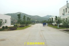 辽宁南票劣质煤热电有限公司一期工程水土保持设施通过竣工验收