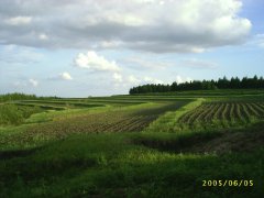 东北黑土区水土流失综合防治试点工程