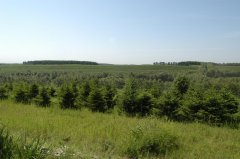 东北黑土区水土流失综合防治试点工程