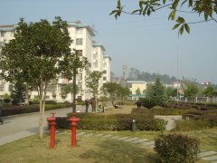 管理、生活区绿化