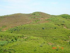 辽宁省国家水土保持重点建设工程