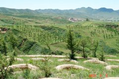 河北丰宁县小坝子流域综合治理