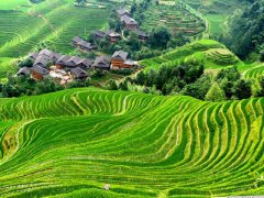 广西桂林龙胜龙脊梯田