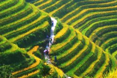 广西桂林龙胜龙脊梯田