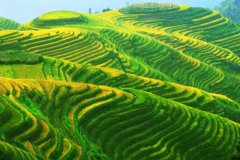广西桂林龙胜龙脊梯田