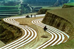 山塬情韵——地膜机械种植