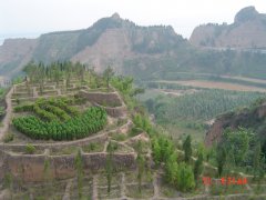 山西省平陆县农发水保项目综合治理工程