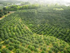 湖南省新化县杨坪小流域