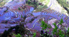 湖南省新化县紫鹊界梯田