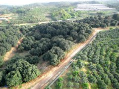 湖南省新化县杨坪小流域