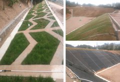 龙陵站边坡排水及植被养护