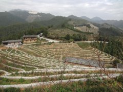 永春横口小流域坡耕地整治（水泥空心砖作田埂）