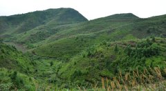 福建宁化田溪小流域田背村际头岭