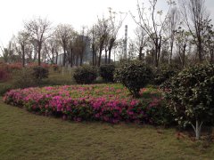 紫金铜业有限公司年产20万吨铜冶炼项目