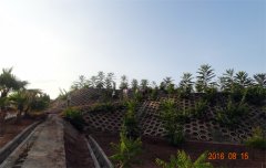 四川乐至县国家水土保持重点工程