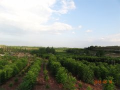 四川乐至县国家水土保持重点工程