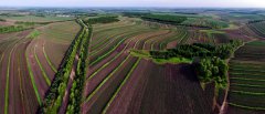 黑龙江省拜泉县水平梯田和地埂植物带全景图