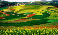 丹江口坡耕地项目区风景美如画