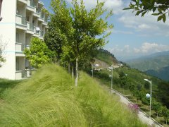 小湾电站建设中的水土保持