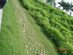 水土保持新理念打造新型生态高速公路