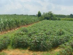 水土保持新理念打造新型生态高速公路