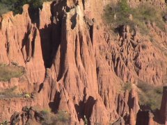 珠江水利委员会对红河流域进行水土保持规划调研