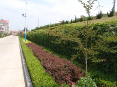 长岛连城生态示范村