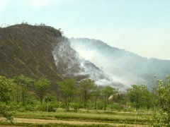 广西炼山全垦造林水土流失严重