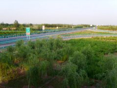 立交区绿化工程