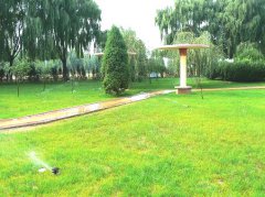 黄河护岸工程绿化