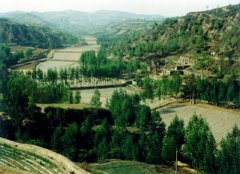 山西汾西康和沟坝系农业