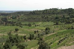 陕西彬县综合治理