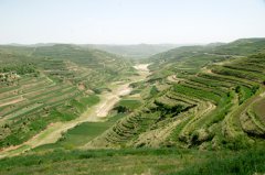 庄浪梯田