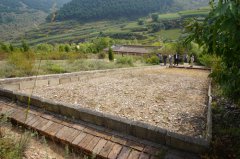 黄河水土保持监测中心开展水土保持重要监测点现场调研