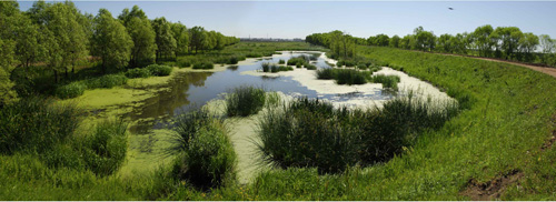 拜泉西下川湿地景观