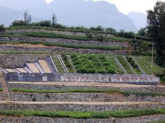 秭归县张家冲监测点径流场