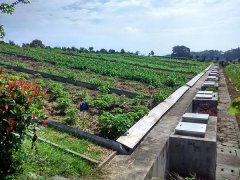 中科院长沙基地径流观测场