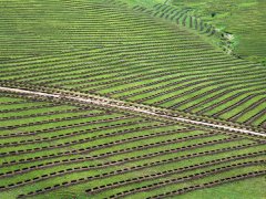 内蒙古克什克腾旗小流域综合治理工程