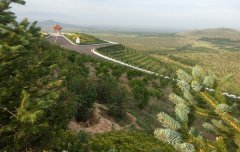 大同县金山小流域建设