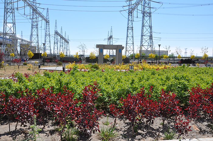 宁夏大坝电厂四期工程水保植物措施