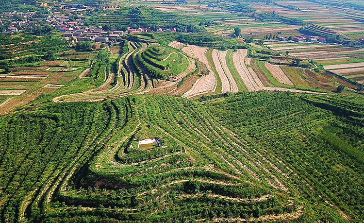 山西省闻喜县水保综合治理工程
