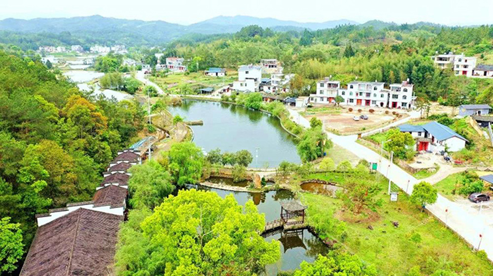 福建省--策武镇南坑村